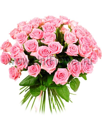 Букет 55 розовых роз