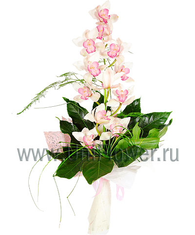 Букет «Влюбленная орхидея»