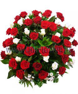 Корзина 71 бордовая роза «С благодарностью»