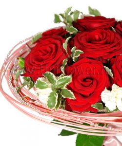Букет 9 бордовых роз «Бархат»