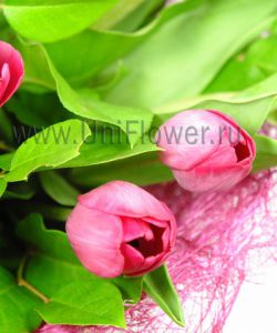 Букет тюльпанов «Розовый бум»