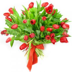 Букет тюльпанов «Аленький цветочек»