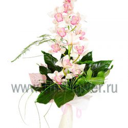 Букет «Влюбленная орхидея»