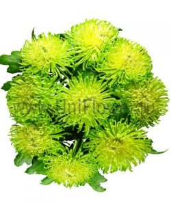 Букет «Шамрок»