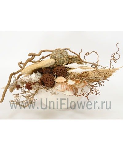 Композиция №55