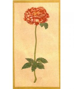 Панно ROSE/B/T