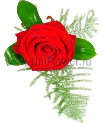 Бутоньерка №6