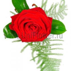 Бутоньерка №6