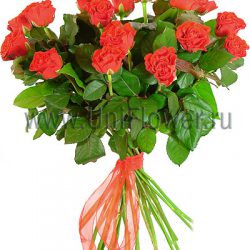 Букет 17 красных роз «Искушение»