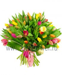 Букет тюльпанов «Салют»