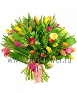 Букет тюльпанов «Салют»