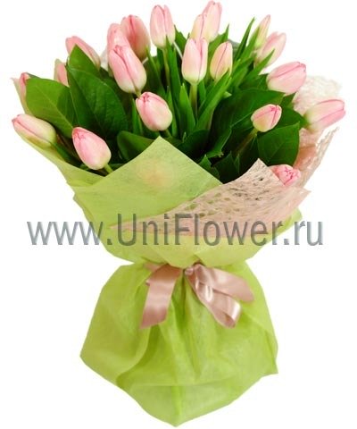 Букет тюльпанов «Сольвейг»