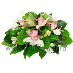 Деловая орхидея