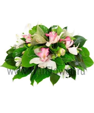 Деловая орхидея