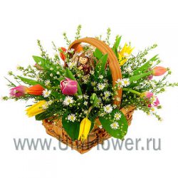 Корзиночка с тюльпанами