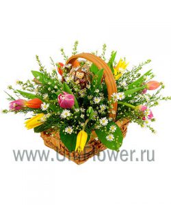 Корзиночка с тюльпанами