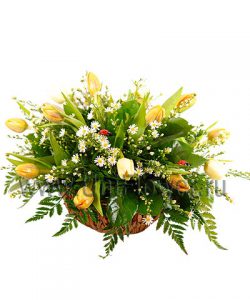 Букет тюльпанов «Очарование весны»