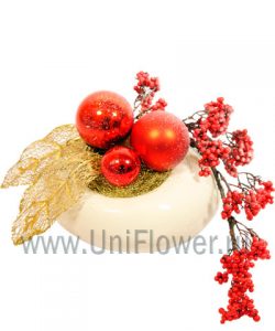 Ласточкино гнездо