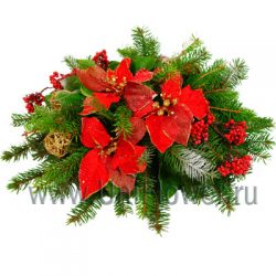 Хвойный блюз