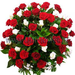 Корзина 71 бордовая роза «С благодарностью»