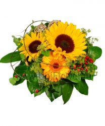 Букет из полевых цветов «Солнышко»