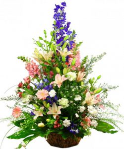 Песнь Песней