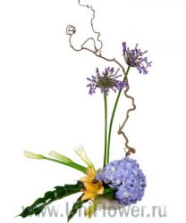 Букет «Лагуна»