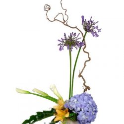 Букет «Лагуна»