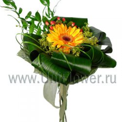 Соло