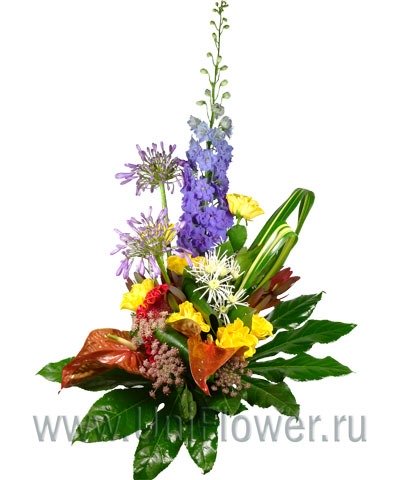 Букет «Всплеск»