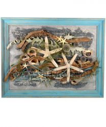 Подводный мир