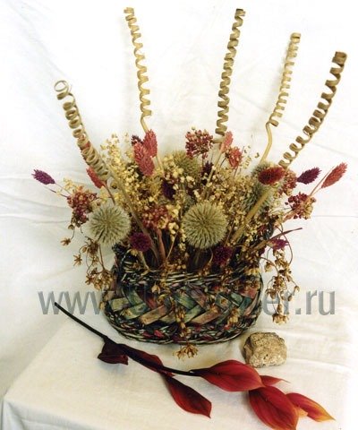 Ноябрьский этюд