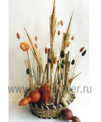 Вольный ветер