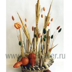 Вольный ветер