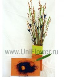 Полевая