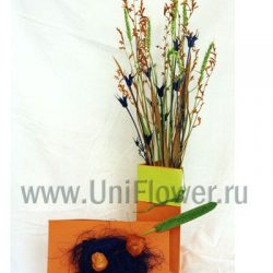 Полевая Полевая