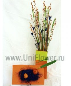 Полевая