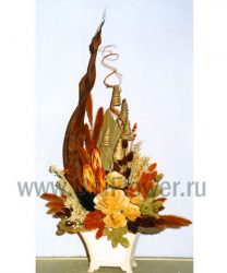 Кассиопея
