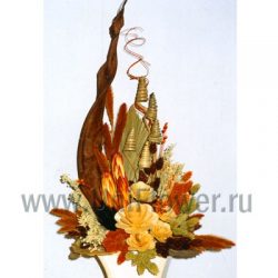 Кассиопея