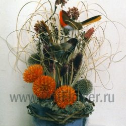 Эскиз