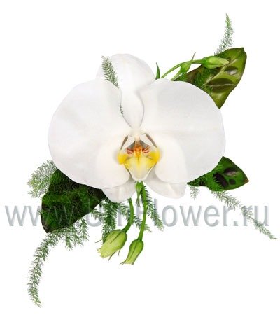 Бутоньерка №1