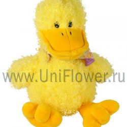 Весёлый утёнок