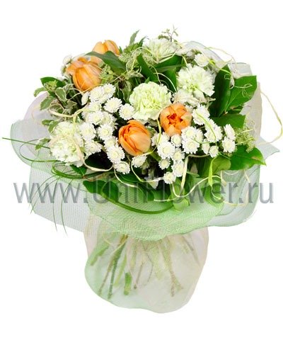 Букет с говздикой «Анюта»