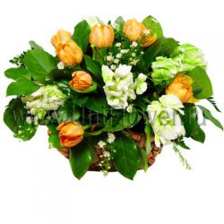 Букет тюльпанов «Двенадцать месяцев»