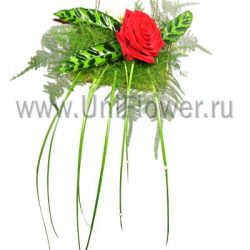 Букет «Синьорита»