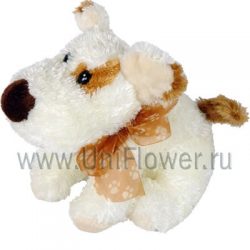 Собачка Мотя