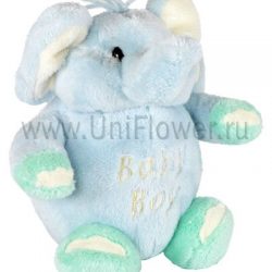 Слоник- мальчик