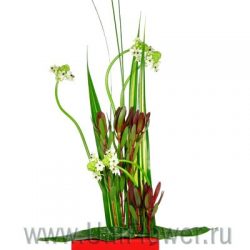 Букет «Афины»