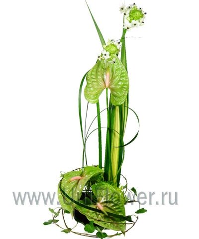 Букет «Рапсодия»