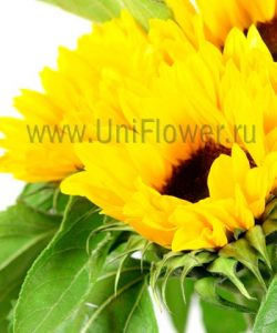 Букет из полевых цветов «Лето»